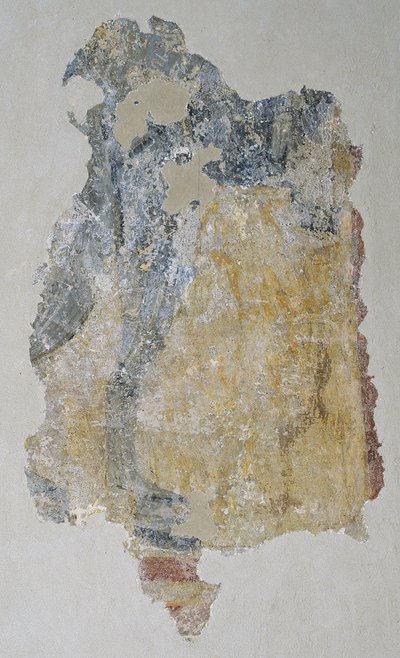 Remains of a Quadruped from Sant Joan de Boí by Unbekannt Unbekannt